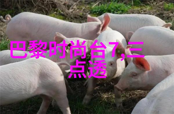 秋日酷飒出街吸睛穿搭